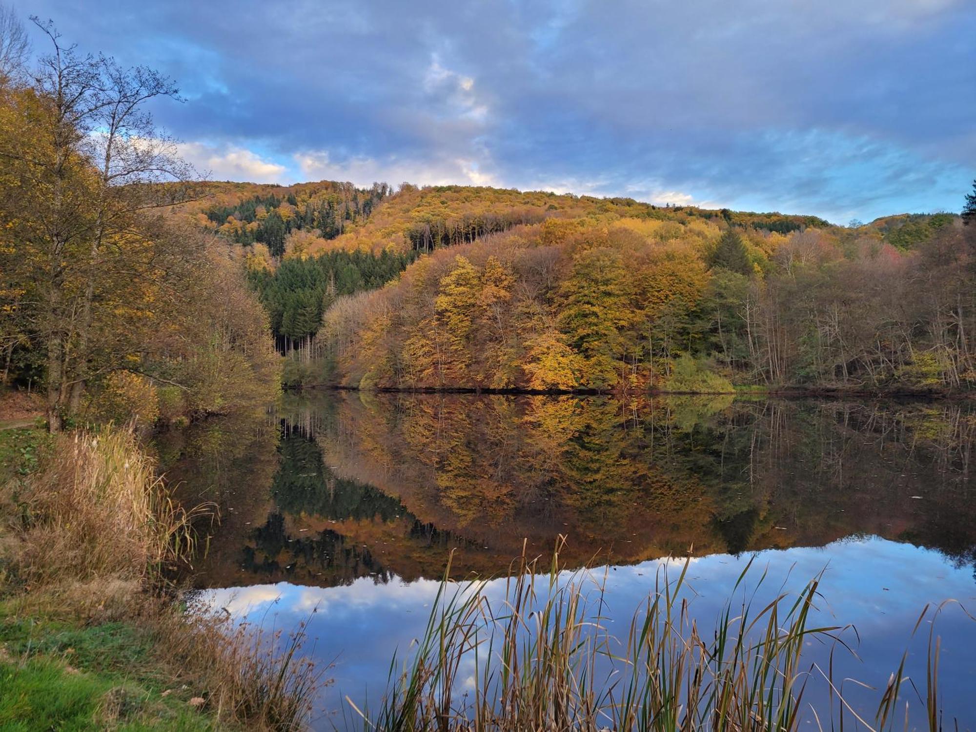 Le Lac Des Moines Condat  Zewnętrze zdjęcie