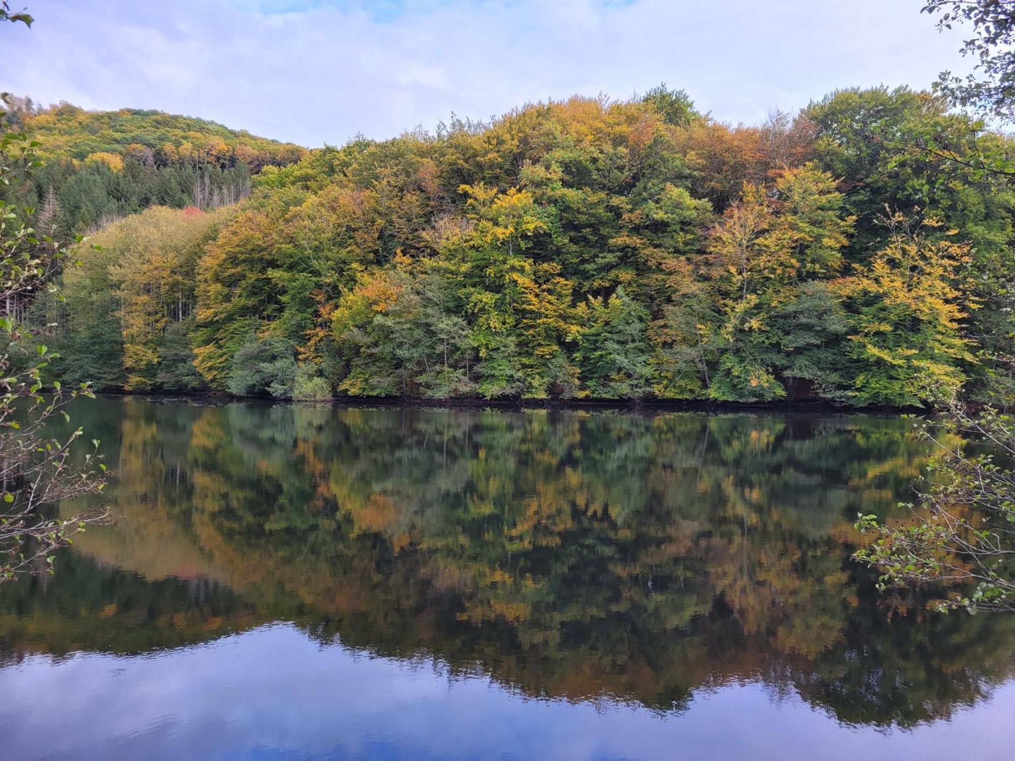 Le Lac Des Moines Condat  Zewnętrze zdjęcie