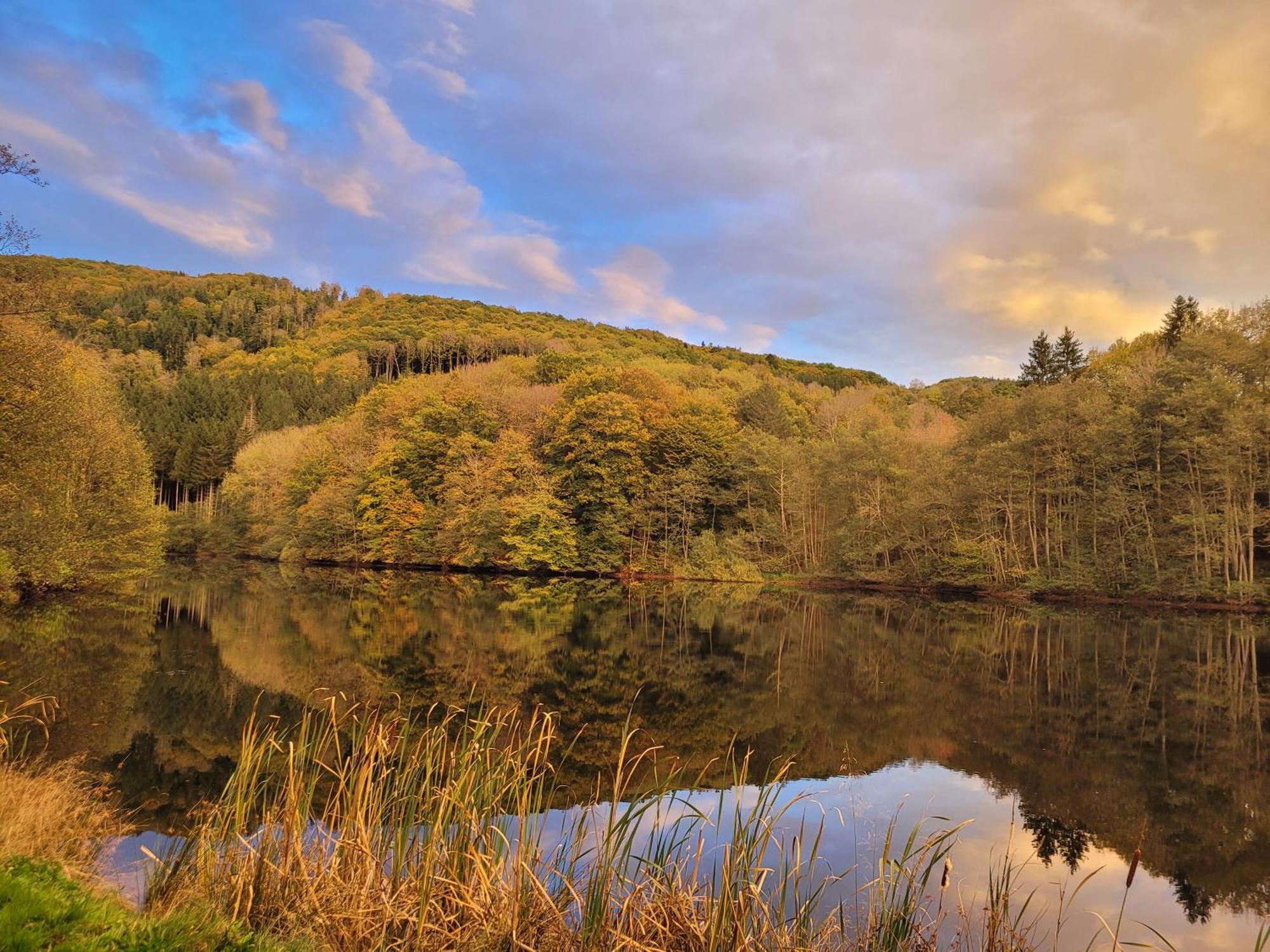 Le Lac Des Moines Condat  Zewnętrze zdjęcie