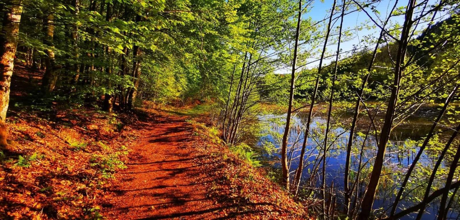 Le Lac Des Moines Condat  Zewnętrze zdjęcie