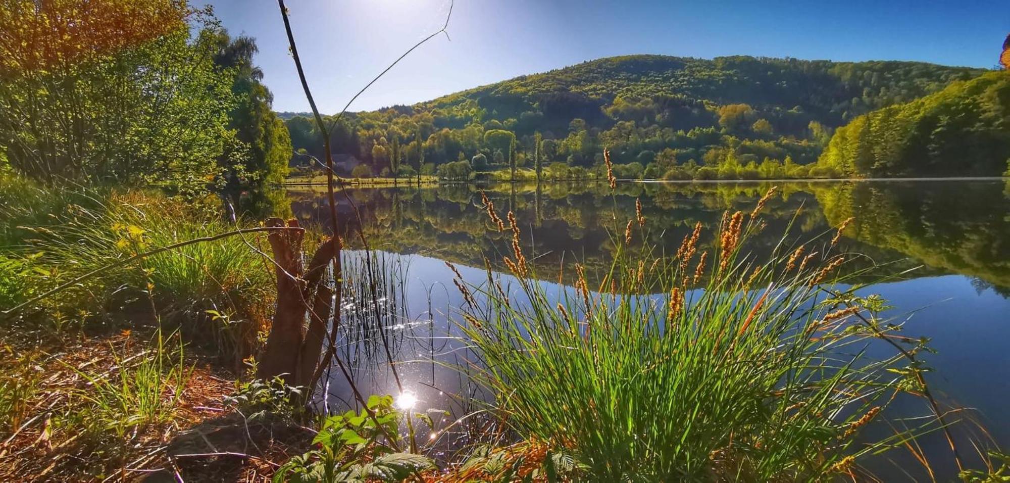 Le Lac Des Moines Condat  Zewnętrze zdjęcie